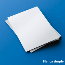 Carpetas en Cartulina Blanca |Opción Económica y Simple