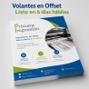 Volantes Offset | Impresión de Flyers para Grandes Cantidades